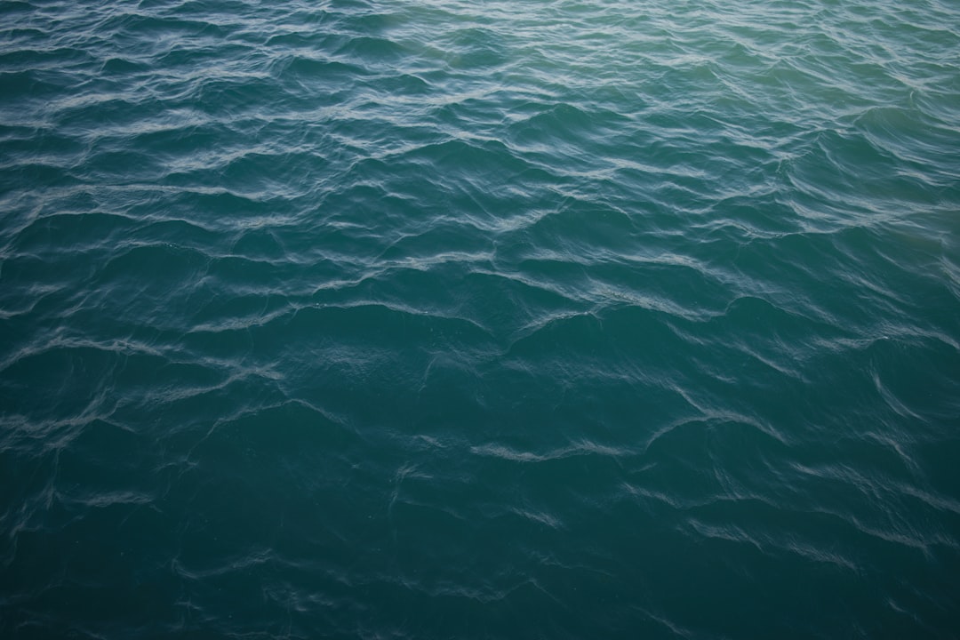 【海】の夢で人生の潮目を知る｜神仏・十二支・運勢を徹底解読