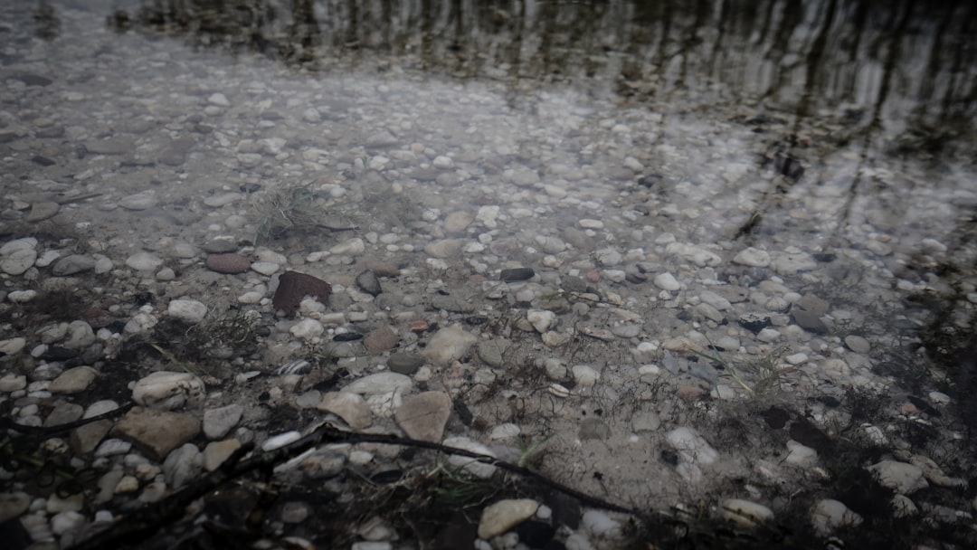 brown and gray stones on river