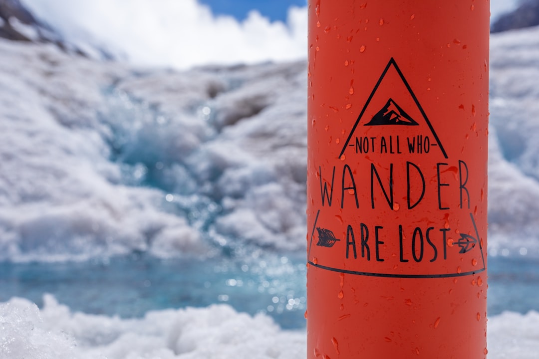 【迷子】の夢を見たあなたへ：神仏の導きと心の声