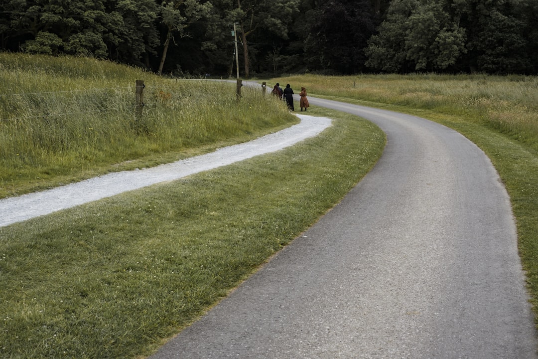 【夢占い】「道」の夢が示す、あなたの人生の岐路と進むべき未来