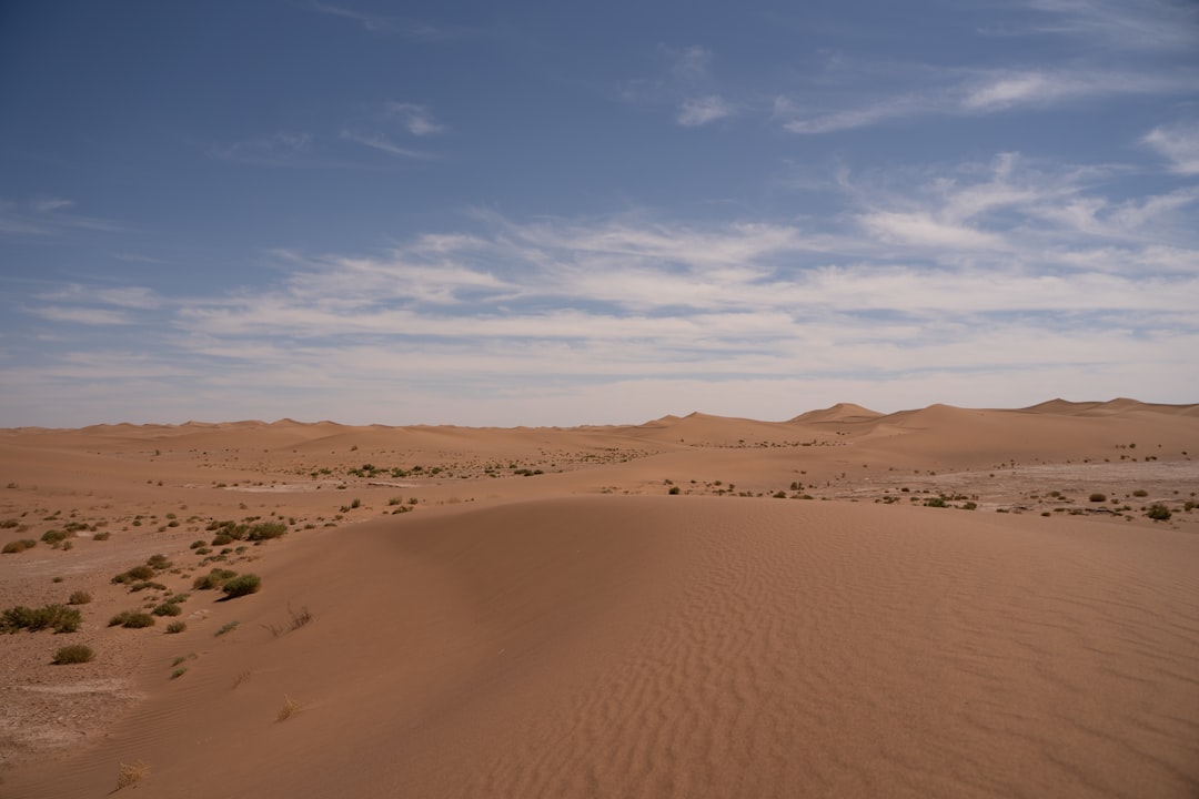 【夢占い】広大な荒野の夢は吉凶両極端？神仏のメッセージとあなたの運勢