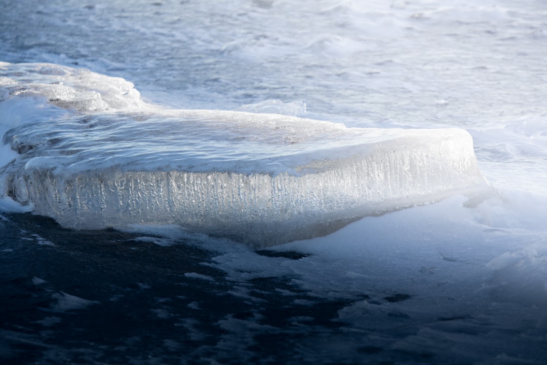 【セイウチの夢】あなたの深層心理と未来を映し出す！神仏の教えと現代夢占いで徹底解読